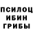 Псилоцибиновые грибы мицелий Ritarasha Adrif