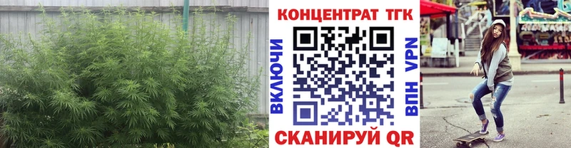 ТГК THC oil  omg сайт  Тара 