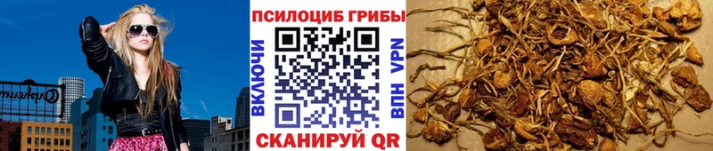Галлюциногенные грибы ЛСД сколько стоит Тара